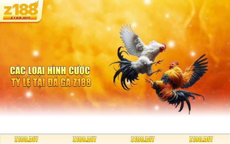 Các Loại Hình Cược Tỷ Lệ Tại Đá Gà Z188