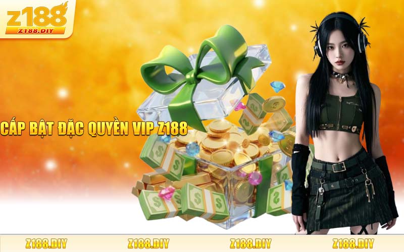 Cấp Bật Đặc Quyền VIP Z188