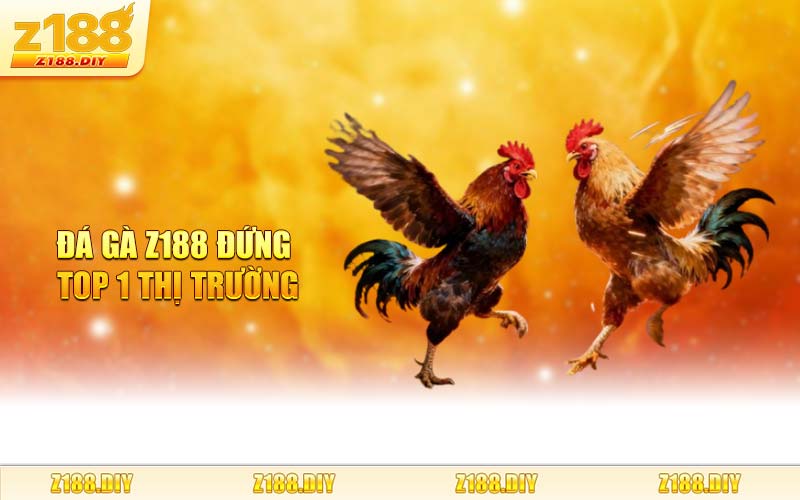 Đá Gà Z188 Đứng Top 1 Thị Trường