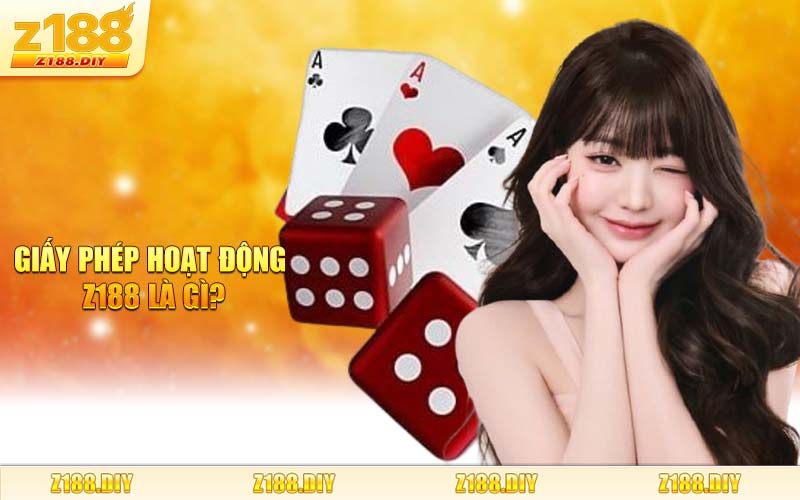 Giấy Phép Hoạt Động Z188 Là Gì?