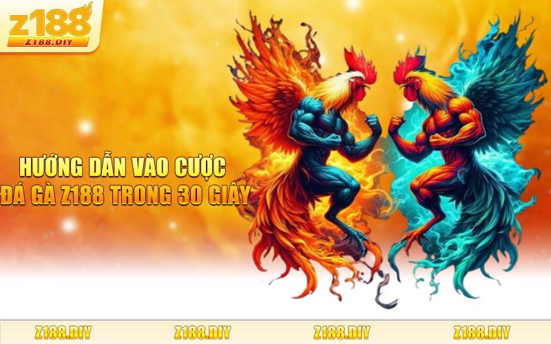 Hướng dẫn vào cược Đá Gà Z188 trong 30 giây