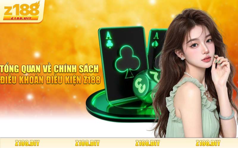 Tổng Quan Về Chính Sách Điều Khoản Điều Kiện Z188